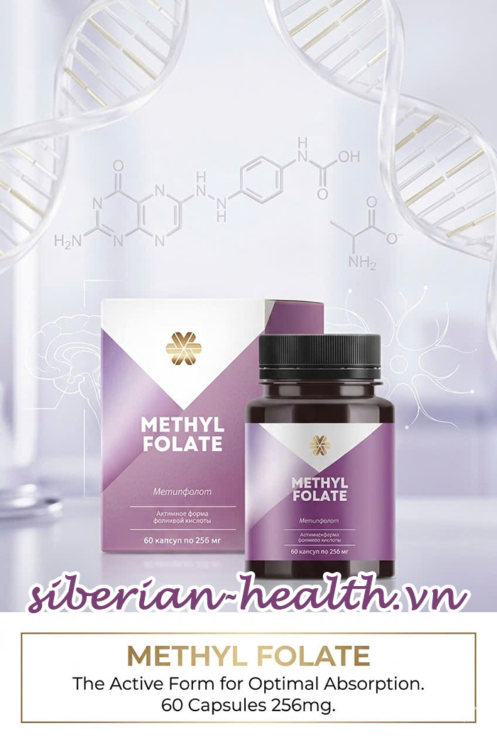 Methylfolate Vitamin B9 từ Siberian Wellness